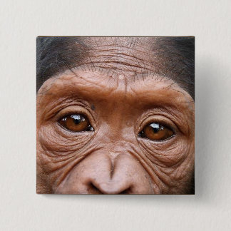 EL CHIMPANCÉ OBSERVA EL BOTÓN