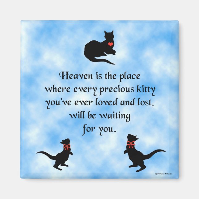 El Cielo Es El Imán (Frente)