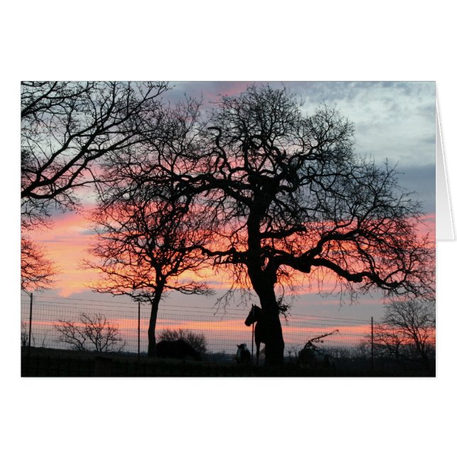 El cielo mágico (Anverso (Horizontal))