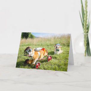 El científico Corgis en una tarjeta de cumpleaños 
