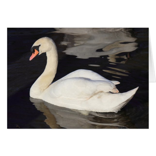 El cisne en un lago (Anverso (Horizontal))