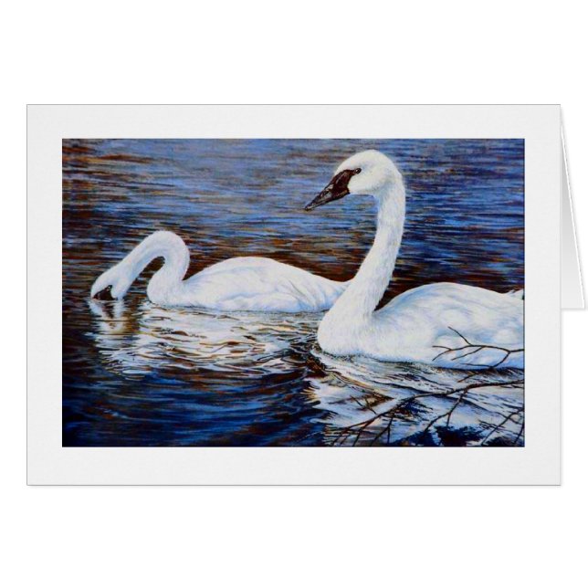 El cisne tímido (Anverso (Horizontal))