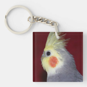 El Cockatiel 2 echó a un lado llavero del loro