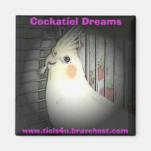 El Cockatiel soña el imán