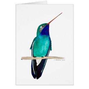 El colibrí de gran tamaño encaramado