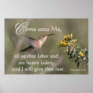 El colibrí viene a la impresión de Jesús