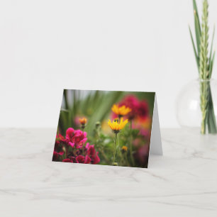 El color de las tarjetas de notas de verano