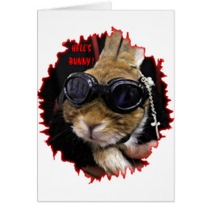 EL CONEJITO DEL INFIERNO DEL CONEJITO DEL