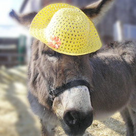 "El conejo de Pascua real" Tarjeta de vacaciones