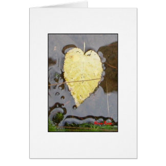 El corazón de la naturaleza