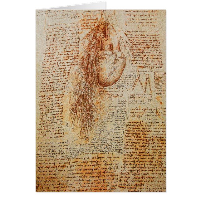 El corazón y el pergamino de las arterias bronquia (Frente)