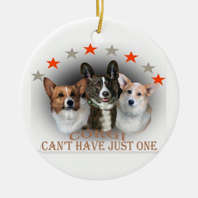 El Corgi no puede tener apenas un ornamento (Frente)