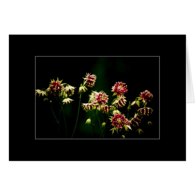 El coro de la primavera (Anverso (Horizontal))