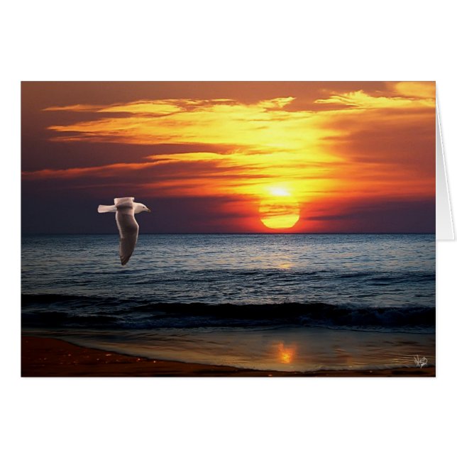 El costear (Anverso (Horizontal))