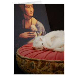 El coussin del sur de Furet subió II