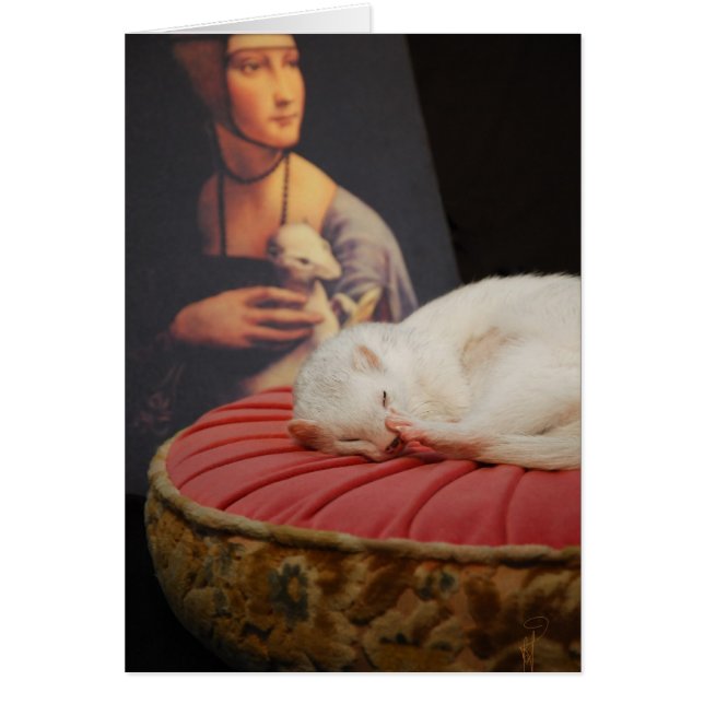 El coussin del sur de Furet subió II (Frente)