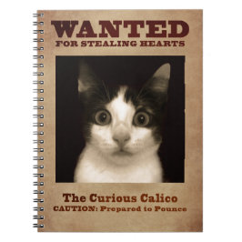 El cuaderno curioso del gatito del calicó