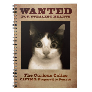 El cuaderno curioso del gatito del calicó