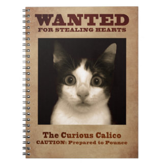 El cuaderno curioso del gatito del calicó