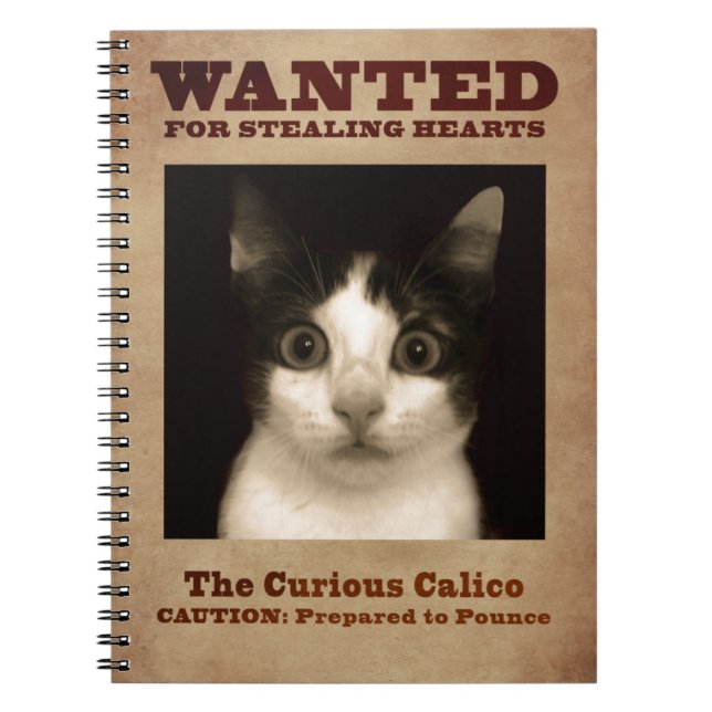 El cuaderno curioso del gatito del calicó (Frente)