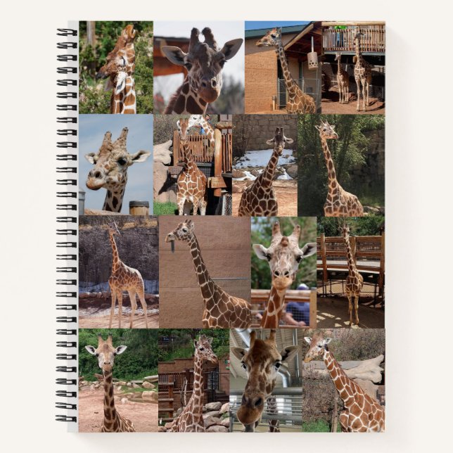 El cuaderno de baño (Anverso)