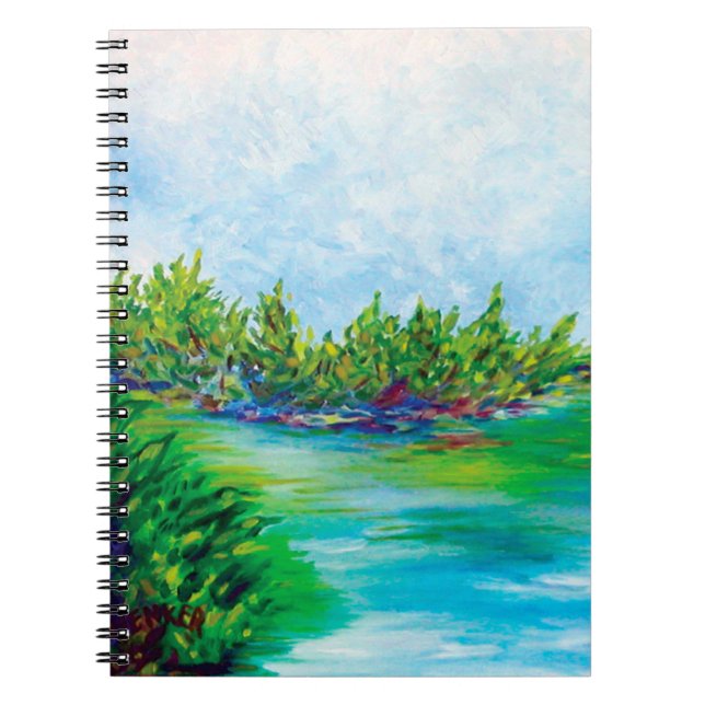 El CUADERNO del lago (Frente)