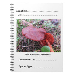 El cuaderno del naturalista del campo por FungiOz