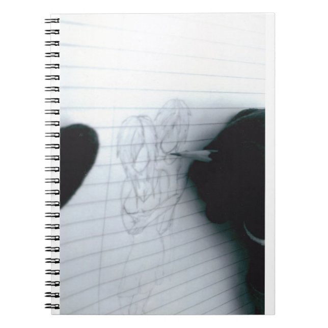 El cuaderno del novelista (Frente)