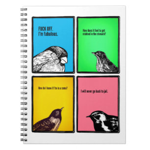 El cuaderno (pero con menos besarse y más pájaro