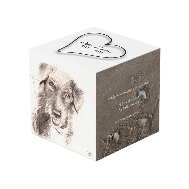 El cubo conmemorativo de la foto de los mascotas (Angulo Anverso)
