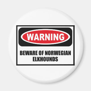 El cuidado SE GUARDA del imán NORUEGO de ELKHOUND
