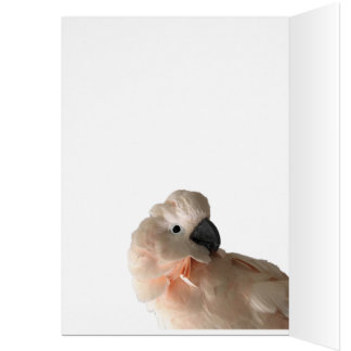 El cuidar está compartiendo la tarjeta