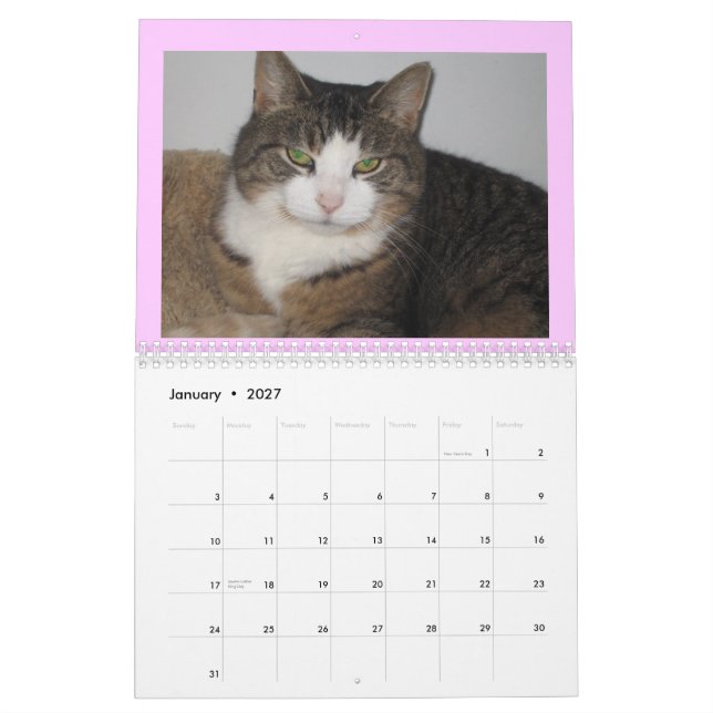 El cuidar sobre el calendario de pared de los (Jan 2027)
