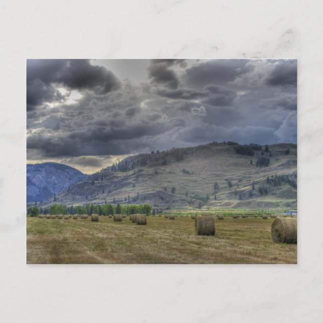 El cultivo está adentro. Tarjeta postal de Midway  (Anverso)