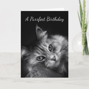 El cumpleaños de Purrfect desea la tarjeta