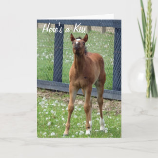 El cumpleaños del caballo besa la tarjeta