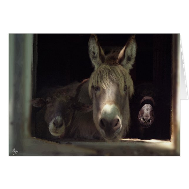 El curioso trío (Anverso (Horizontal))