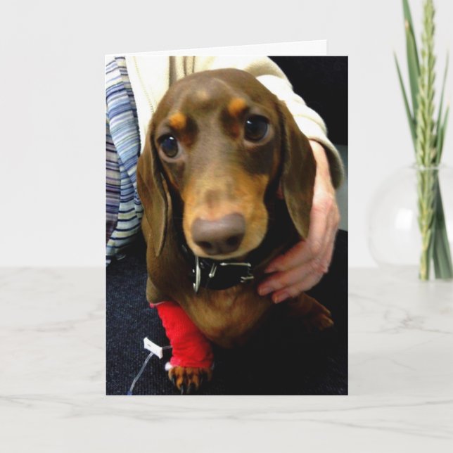 El Dachshund lindo consigue pronto la tarjeta bien (Anverso)