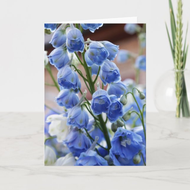 El Delphinium florece la tarjeta de felicitación (Anverso)