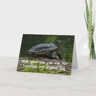EL DESEO DE LA TORTUGA COMEDIC PARA LA TARJETA DE