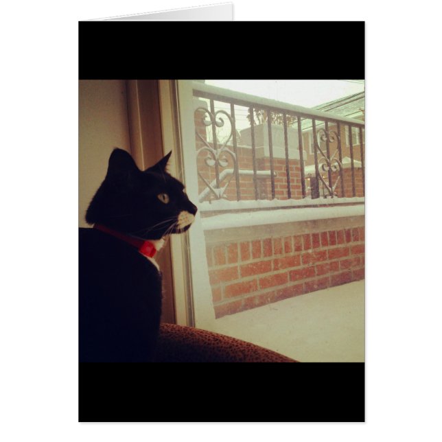 El Día de la Nieve de Lucy (Frente)