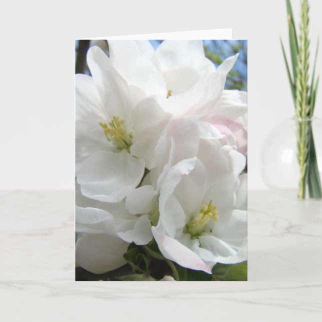 El DÍA de MADRE CARDA la tarjeta de 48 FLORES de (Anverso)