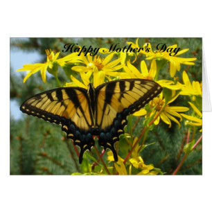 El día de madre del este de Swallowtail del tigre