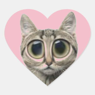 El día de San Valentín lindos Pegatinas de gatos