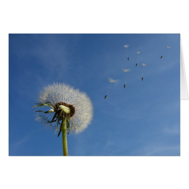 El diente de león desea la impresión del arte (Anverso (Horizontal))