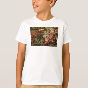 el dinosaurio, Dinorama embroma la camisa