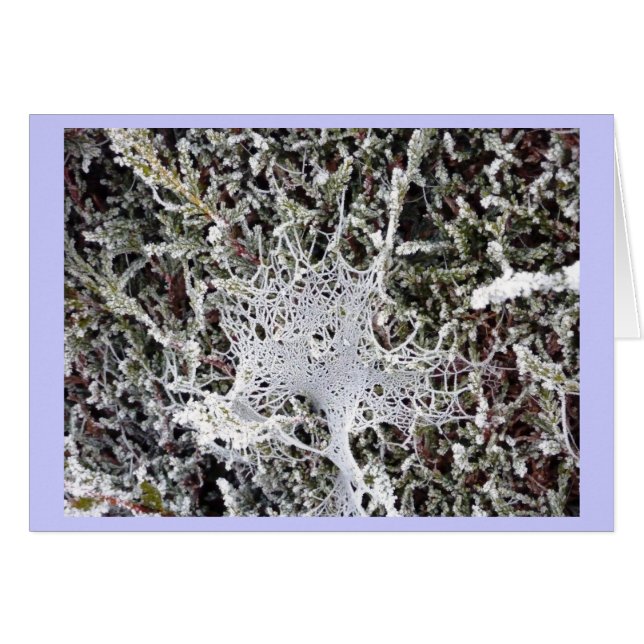 El discurso del Titania (Anverso (Horizontal))