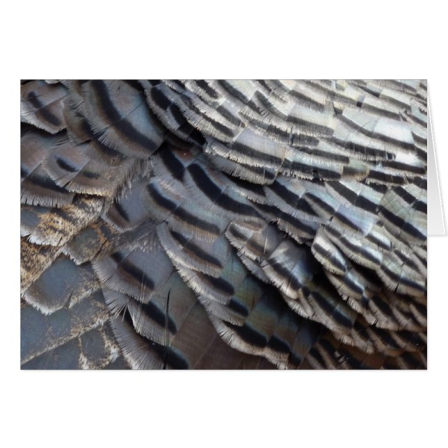 El diseño de la naturaleza abstracta de los plumas (Anverso (Horizontal))