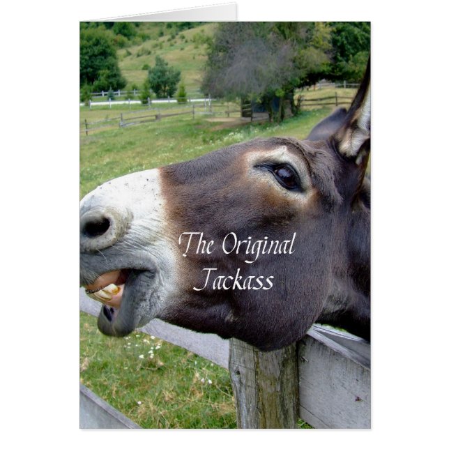 El divertido animal de la granja de mulas de burro (Frente)