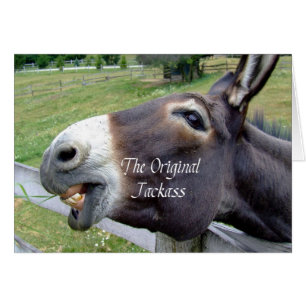 El divertido animal de la granja de mulas de burro